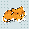 3503693-red-cute-funny-cat-sleep-